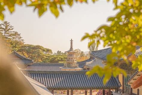 경주 요석궁, 그리고 시간을 초월한 아름다움의 대화