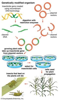   recombination 線人 擁有驚人的再生能力！